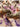 Polyacryl Schal Cashmink-Schal mit romantischem Blumen- und Ranken-Design